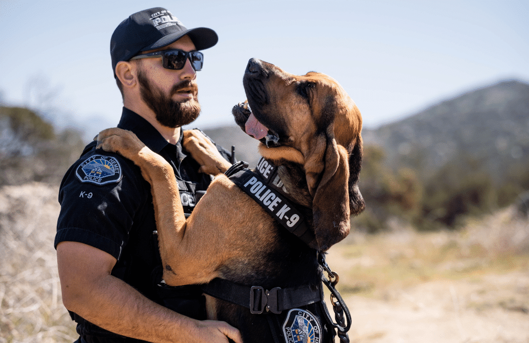 A Hemet Police K-9 shares some fun time with its handler